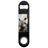 Panda20170506_by_JAMFoto (Dos)