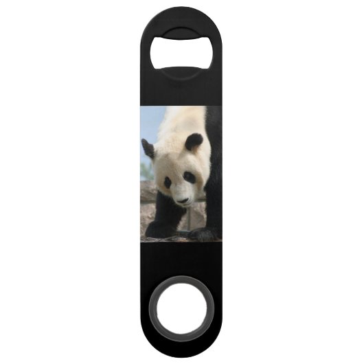 Panda20170506_by_JAMFoto (Devant)
