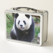 Panda_20190301_by_JAMFoto (Achterkant)