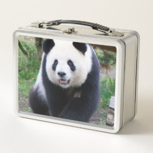 Panda_20190301_by_JAMFoto
