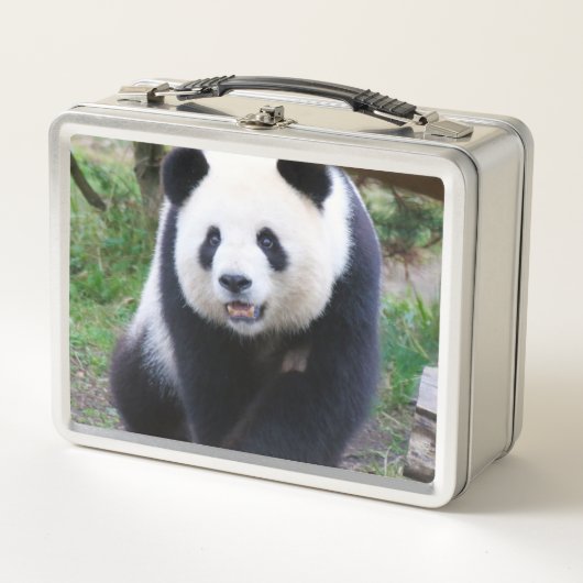 Panda_20190301_by_JAMFoto (Voorkant)