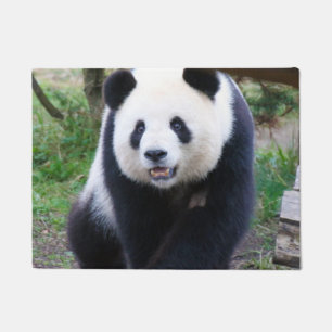 Panda_20190301_by_JAMFoto Deurmat
