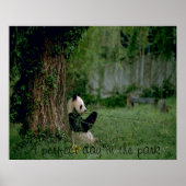 Panda affiche (Devant)