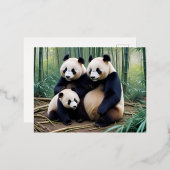 Panda Animal Natuur Wildlife Affection Caring Folie Feestdagen Briefkaart (Voorkant / Achterkant)