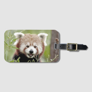 Panda bagage 3 . étiquette bagage