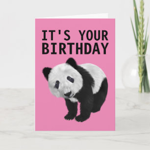 PANDA BEAR CARTE D'ANNIVERSAIRE
