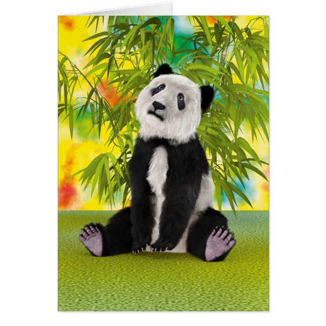 Panda Bear Cub (Devant)