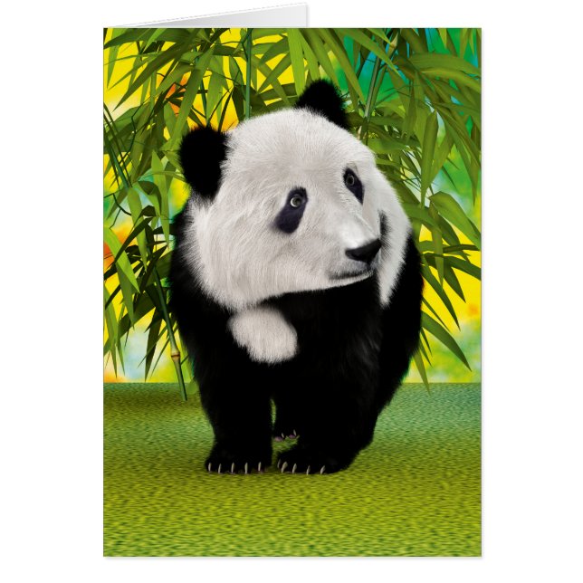 Panda Bear Cub (Devant)