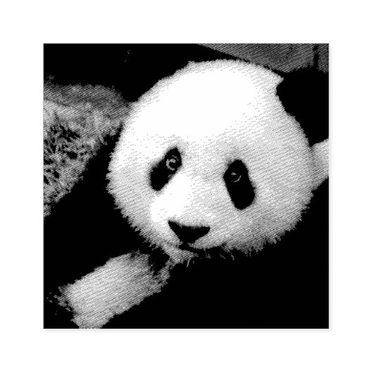 PANDA BEAR PHOTORAPHE TAMPON DE CAOUTCHOUC (Impression)