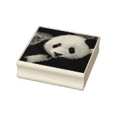 PANDA BEAR RUBBER TAMPON (Tampon)