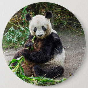 Panda Beer 1 Ronde Button 6,0 Cm