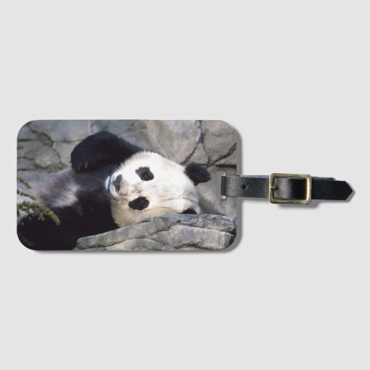 Panda Beer Bagagelabel (Voorkant (horizontaal))