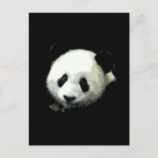 Panda Beer Briefkaart (Voorkant)