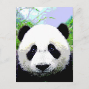 Panda Beer Briefkaart