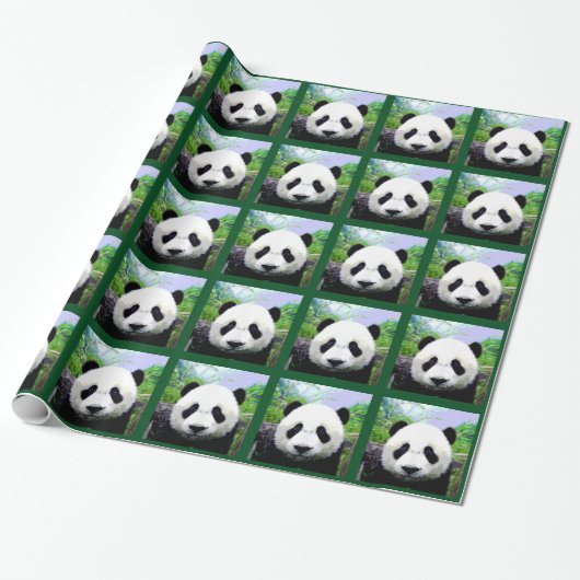 Panda Beer Cadeaupapier (Uitgerold)