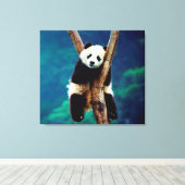 Panda Beer Canvas Afdruk (Insitu (Houten vloer))