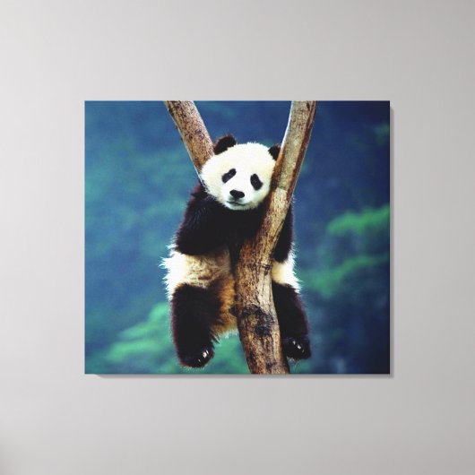 Panda Beer Canvas Afdruk (Voorkant)
