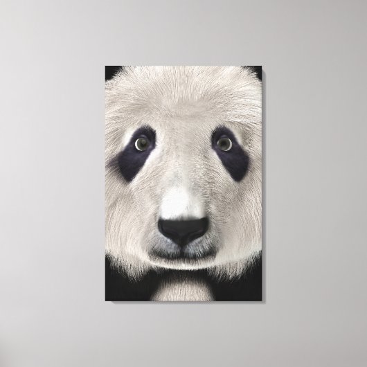 Panda Beer Canvas Afdruk (Voorkant)