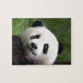 Panda Beer Cub Legpuzzel (Horizontaal)