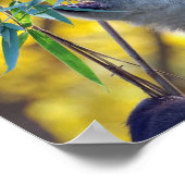 Panda Beer eten Bamboe Poster (Hoek)