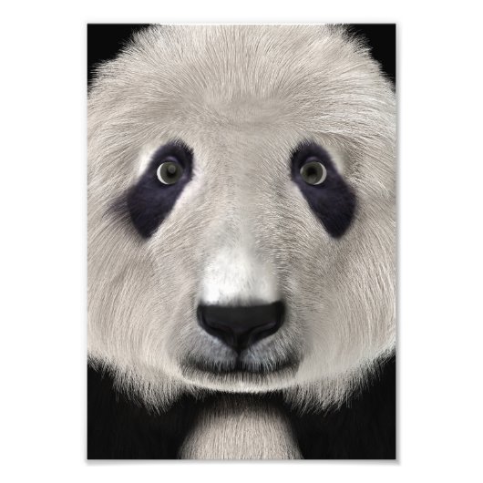 Panda Beer Foto Afdruk (Voorkant)