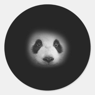 Panda Beer Gezicht voor Dierenvrienden en vriendel Ronde Sticker