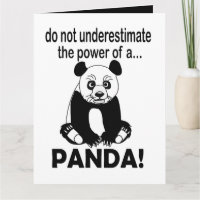 Panda Beer Grappige Knuffel Panda
