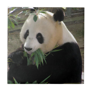Panda Beer Hugs Tegeltje