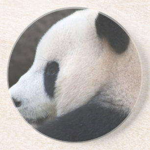 Panda Beer Hugs Zandsteen Onderzetter