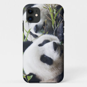 Panda Beer Knuffels iPhone 11 Hoesje