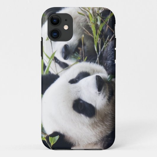 Panda Beer Knuffels Case-Mate iPhone Case (Achterkant)