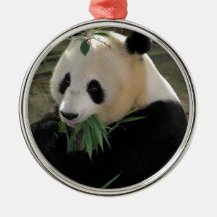 Panda Beer Knuffels Metalen Ornament