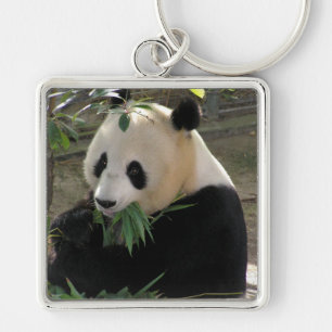 Panda Beer Knuffels Sleutelhanger