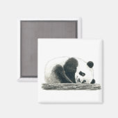 Panda beer magneet (Voorkant / Achterkant)