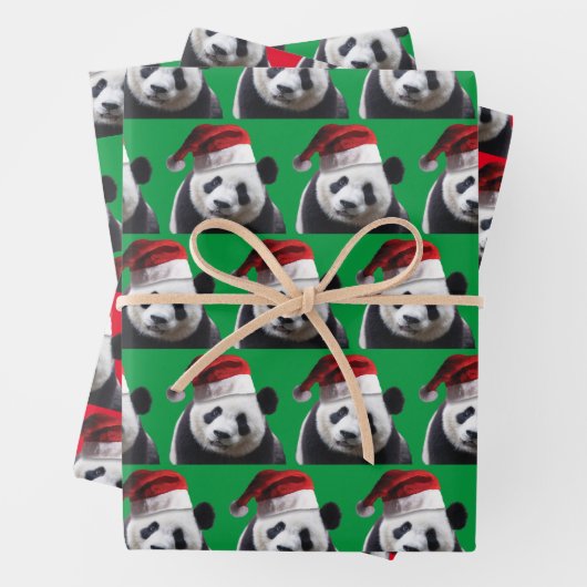 Panda Beer met een Santa Claus-Pet Inpakpapier Vel (In situ)