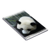 Panda Beer notebook Notitieboek (Rechterzijde)