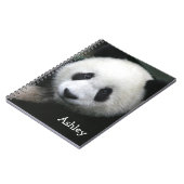 Panda Beer Notitieboek (Linkerzijde)