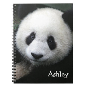 Panda Beer Notitieboek