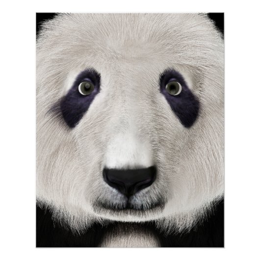 Panda Beer Perfect Poster (Voorkant)