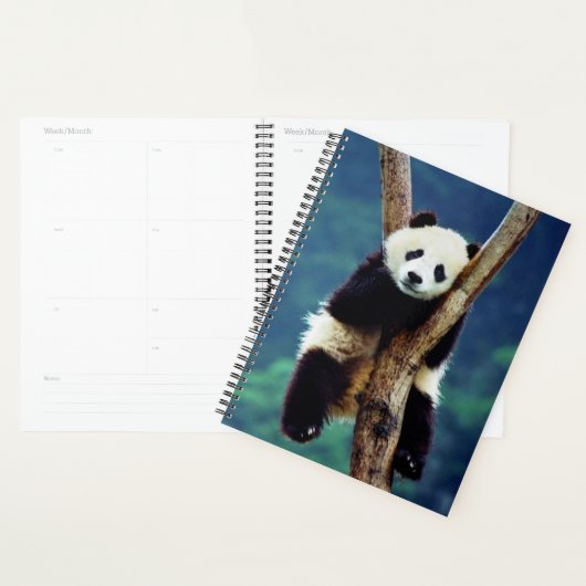 Panda Beer Planner (Display)