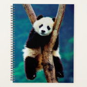Panda Beer Planner (Voorkant)