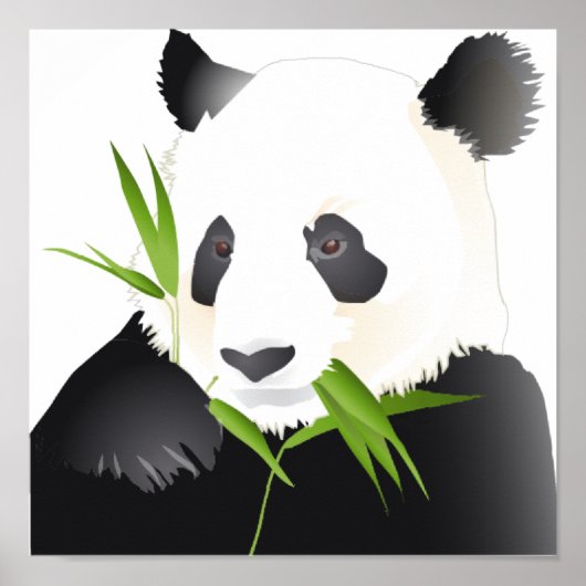 Panda Beer Poster (Voorkant)