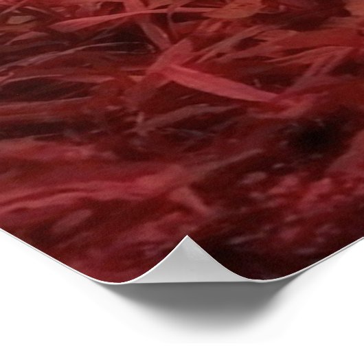 Panda Beer Poster (Hoek)