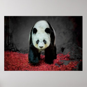 Panda Beer Poster