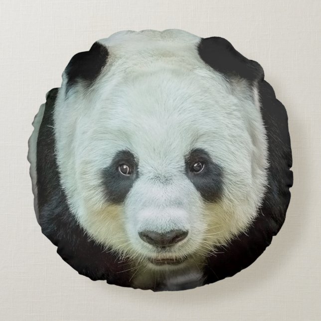 Panda Beer Rond Kussen (Voorkant)