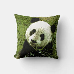 Panda Beer Sierkussen