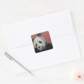 Panda Beer stickers (Envelop)