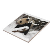 Panda Beer Tegeltje (Zijkant)