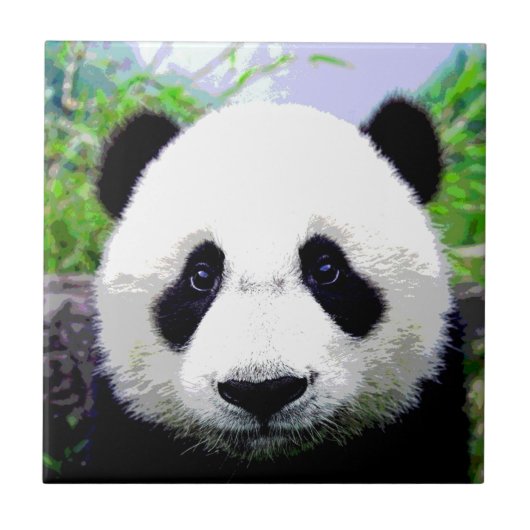 Panda Beer Tegeltje (Voorkant)