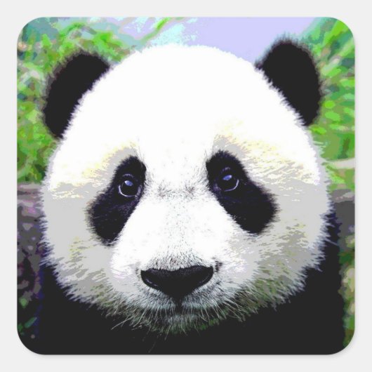 Panda Beer Vierkante Sticker (Voorkant)